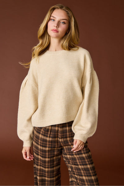 Pleated Sleeve Sweater