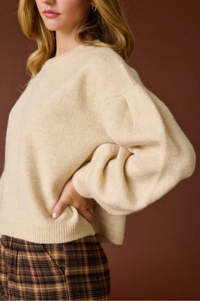 Pleated Sleeve Sweater